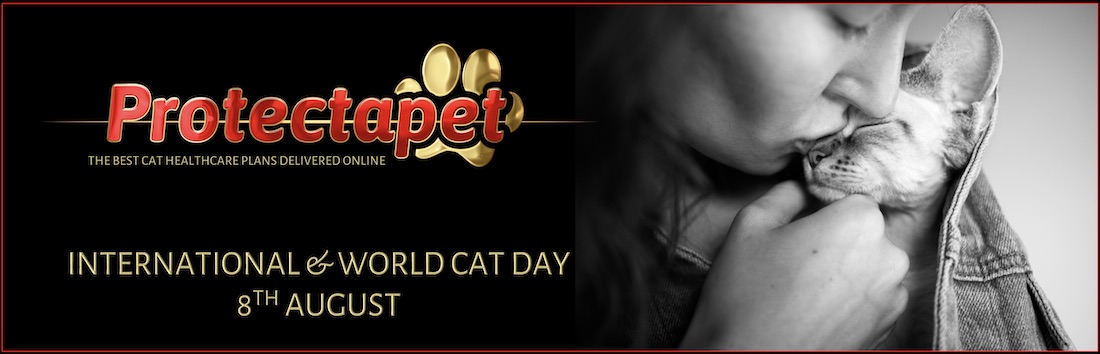 INTERNATIONAL & WORLD CAT DAY
